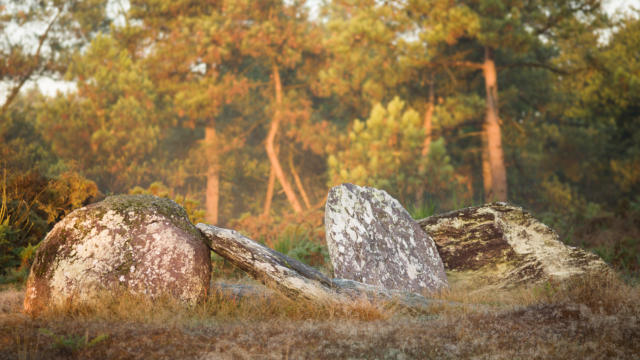 2-montneuf-site-archologique-des-pierres-droites-e-berthier.jpg