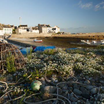 Die Inseln Ouessant und Molène Tourisme Bretagne