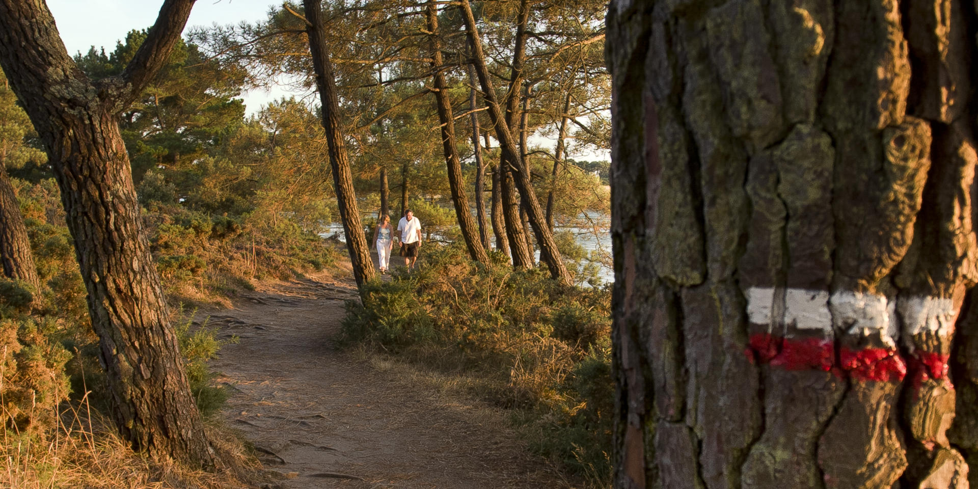Larmor Baden - Golfe du Morbihan