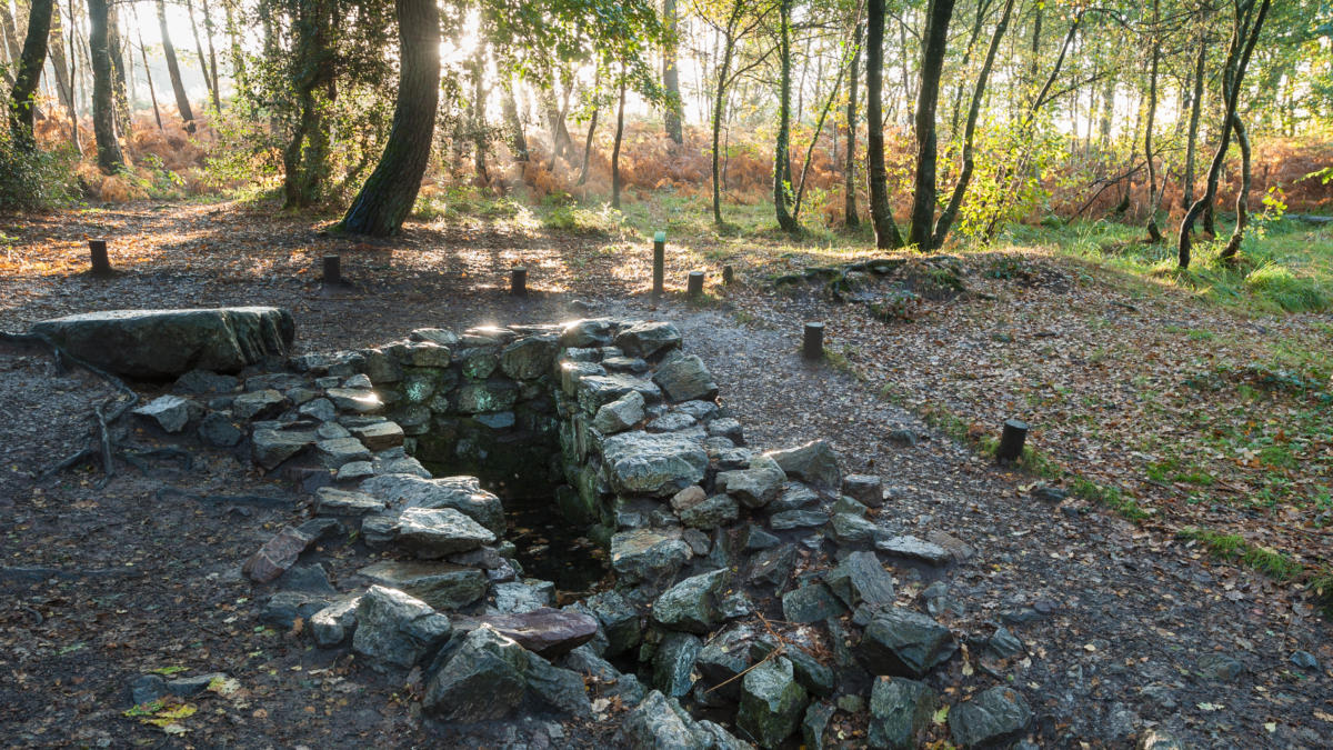 Brocéliande Forest | Brittany Tourism