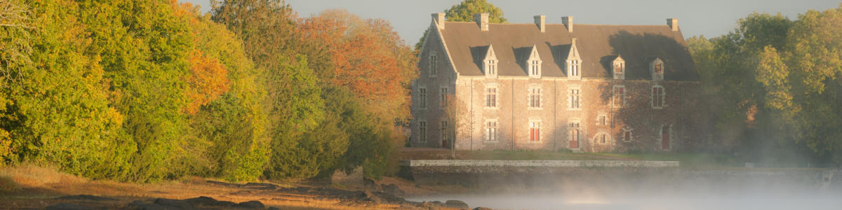 Brocéliande Forest | Brittany Tourism