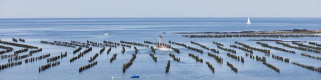 la-plage-de-la-mine-d-or-penestin-1.jpg