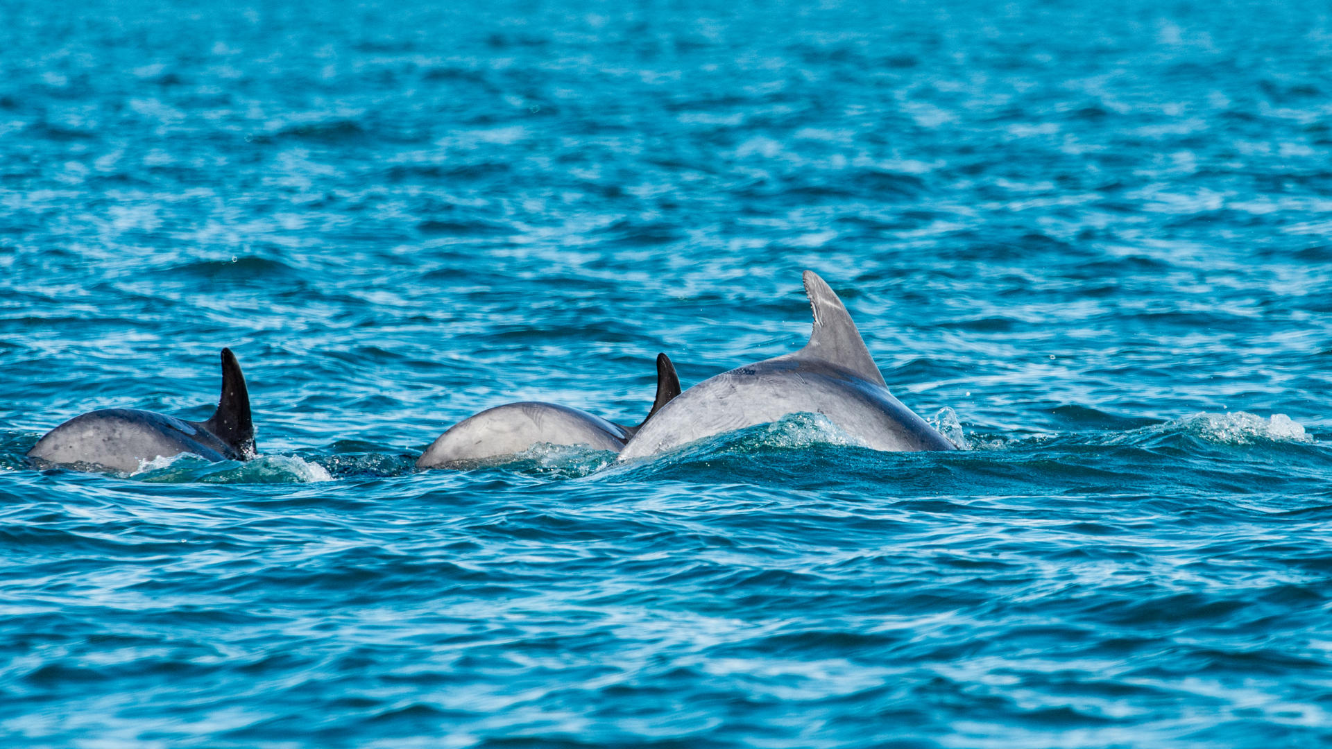 Urlaub Bretagne Frankreich Offizielle Seite des Tourismusverbands