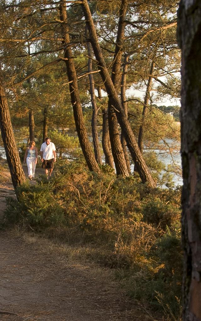 gr34-larmor-baden-emmanuel-berthier.jpg