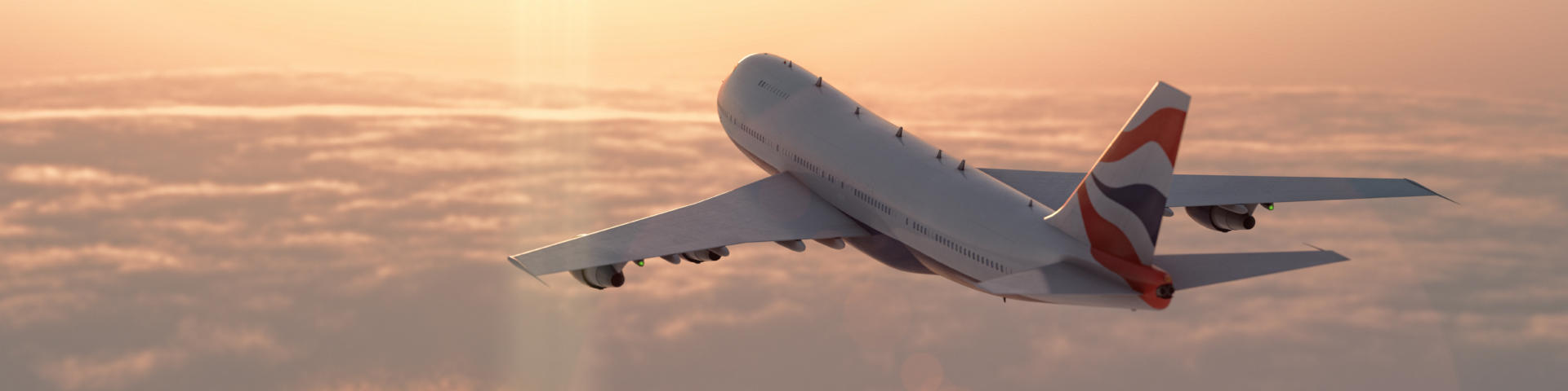 Un avion en vol