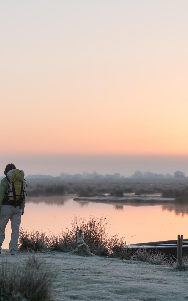 France, Loire-Atlantique (44), Saint-Lyphard, randonneur découvrant la Brière depuis le port de Bréca