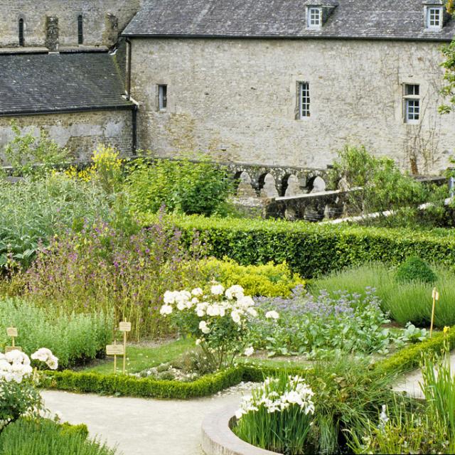 daoulas-jardin-mdicinal-bernard-galeron.jpg