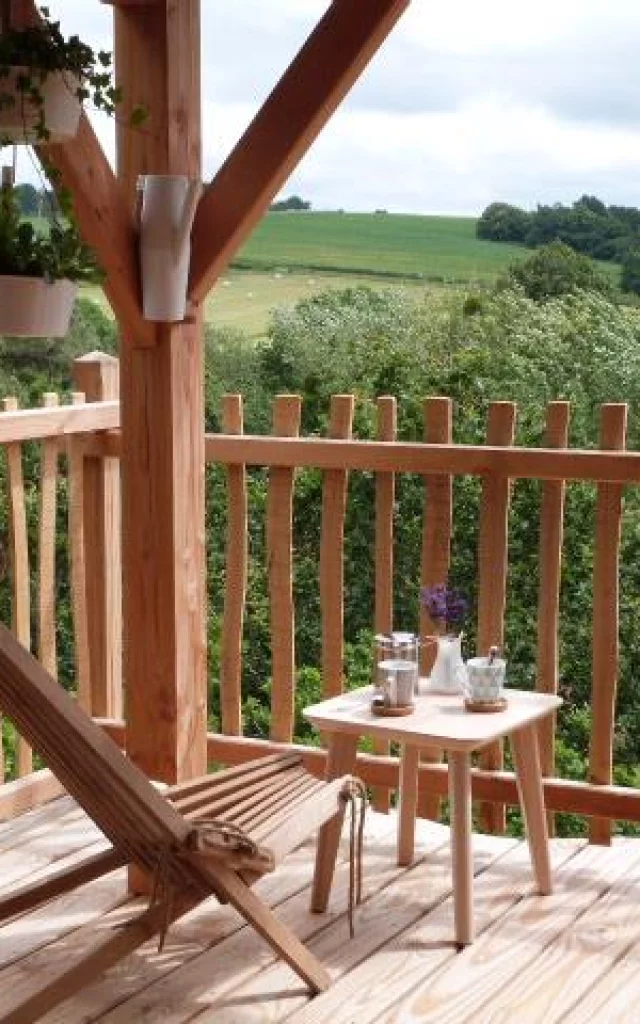 Le Pertuis du Rofo - Nordic Lodge Terrasse 4