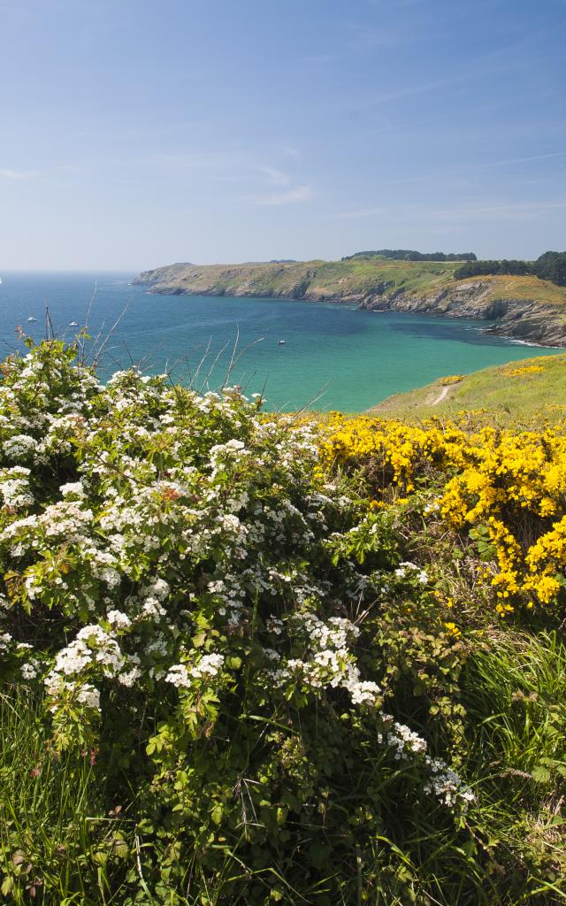 sur-les-sentiers-de-belle-ile-1.jpg