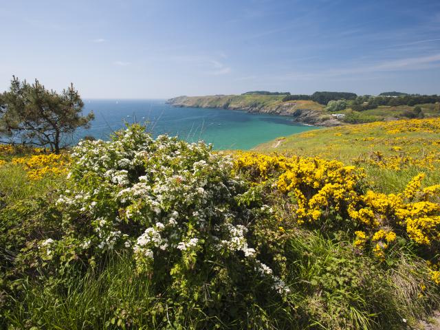 sur-les-sentiers-de-belle-ile-1.jpg