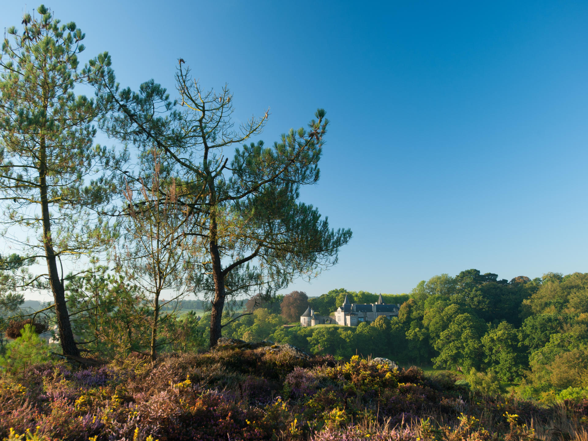 Der Süden der Bretagne Golfe du Morbihan Tourisme Bretagne