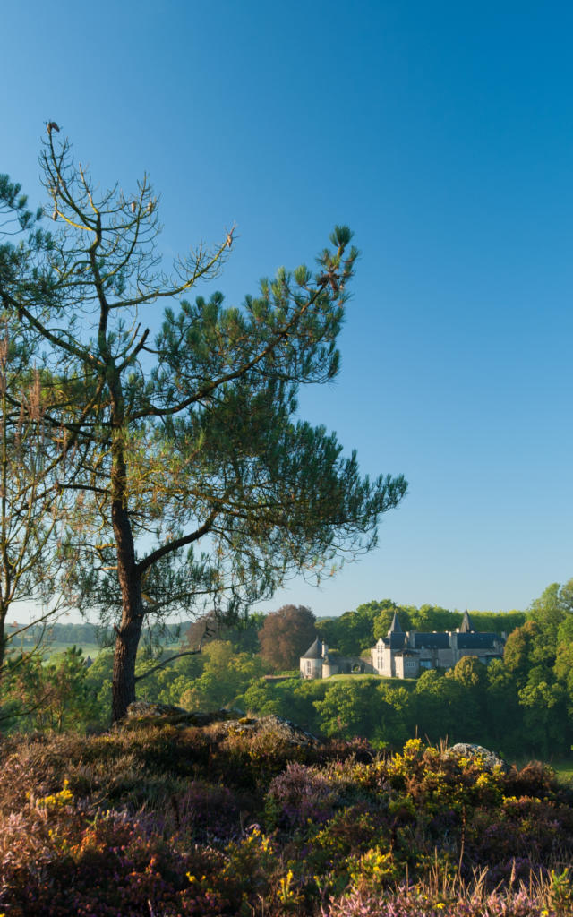 Rochefort en Terre - Landes et château