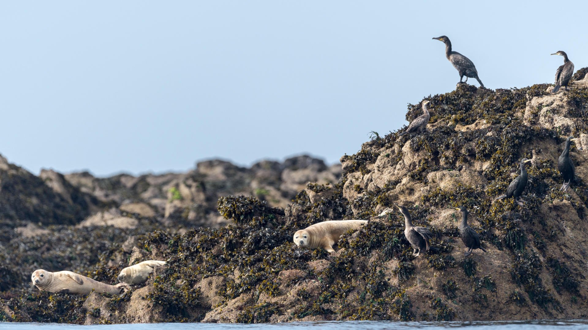 Laissez-vous Guider Par Les Phares De La Mer D’Iroise | Tourisme Bretagne