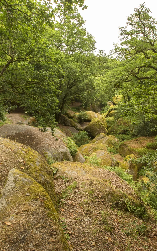 huelgoat-derennes-yannick.jpg