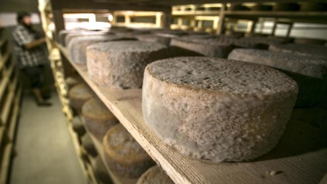 cave-tome-de-rhuys-ferme-fromagere-suscino.jpg