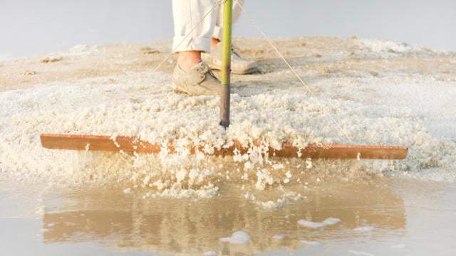 Extraction de sel dans les marais salants de Guérande