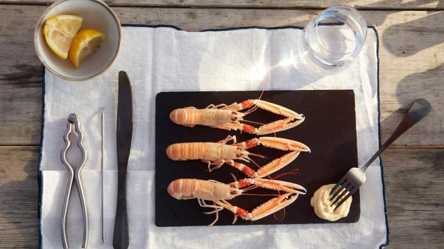 dgustation-de-langoustines-gaelle-le-boulicaut-morbihan-tourisme-la-perle-de-quehan.jpg