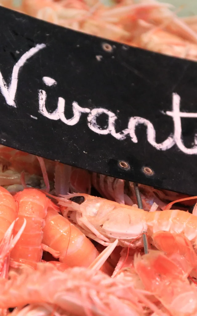 Langoustines sur un étal dans la Halle aux Poissons de Vannes