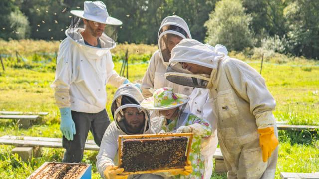 apiculture-la-fontaine-dairmeth-thibault-poriel.jpg