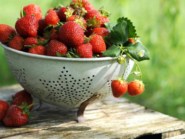 fraises-lucinda-hershberger-unsplash.jpg