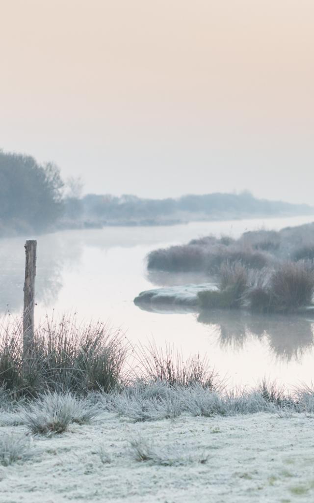 gelee-au-petit-matin-sur-la-briere--crtb-ac4985-berthier-emmanuel.jpg