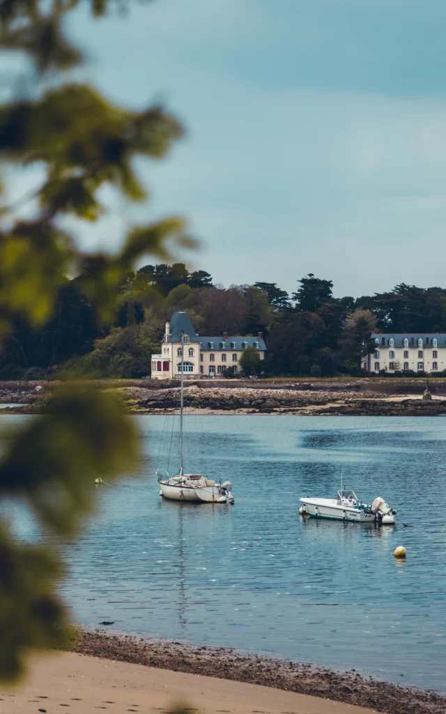 douarnenez-ile-tristan-nicolas-dequin-gale1.jpg
