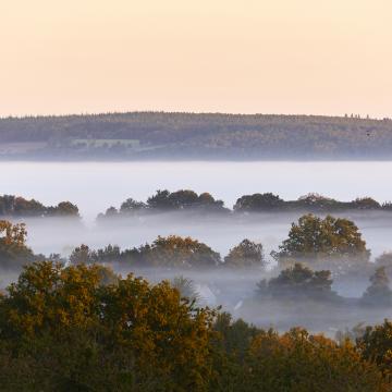 Die Landes de Lanvaux Tourisme Bretagne