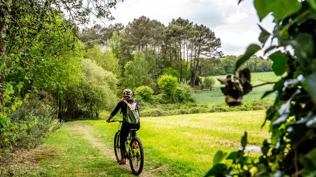 Grand-Champ-Thehike.nl_.jpg
