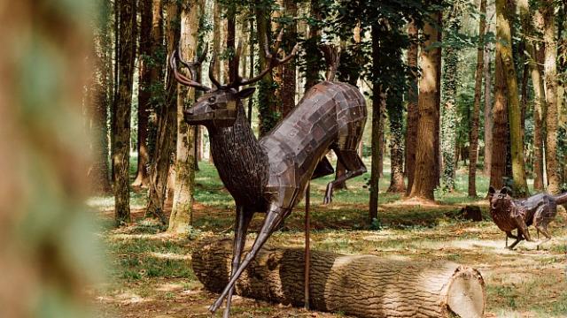 Piré-sur-Seiche - Parc du château des Pères