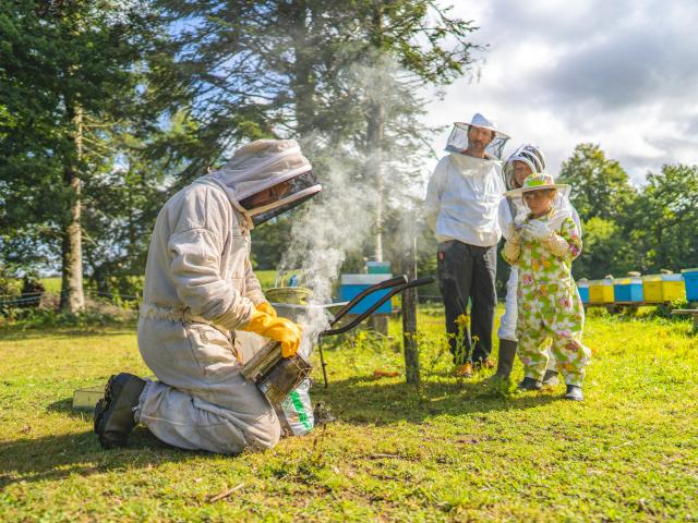 Expérience Bretonne - Apiculture