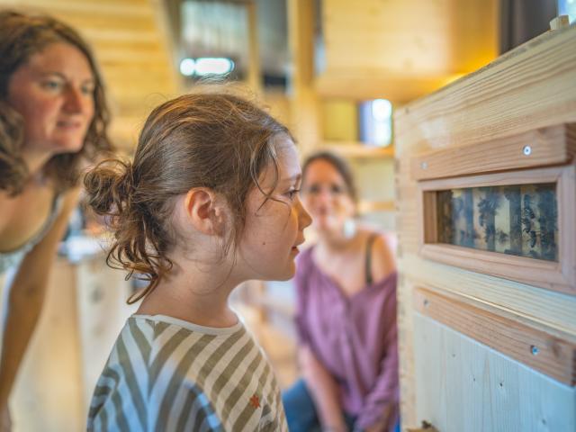 Expérience Bretonne - Apiculture