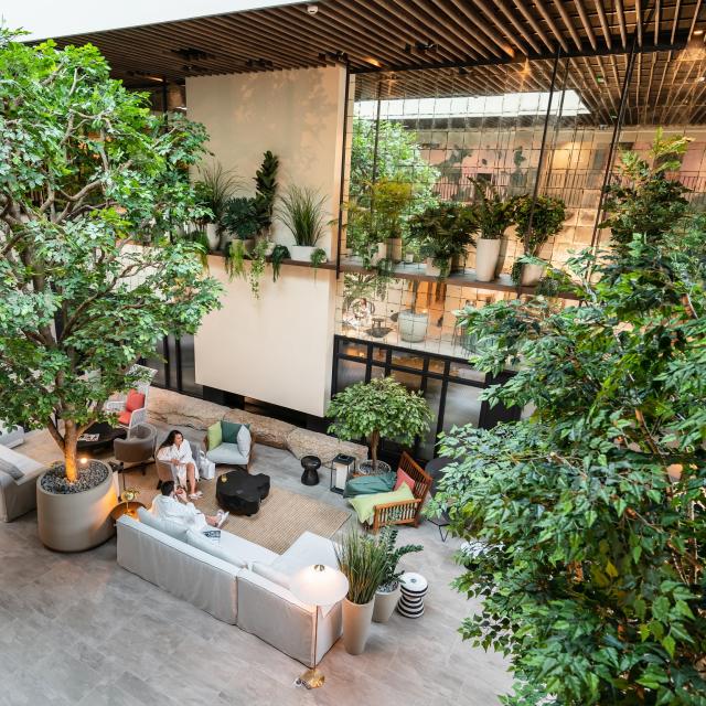 Perros-Guirec - Jardin d'hiver à Roz Marine Thalasso Resort