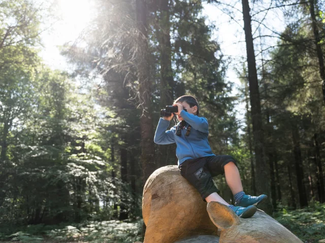 France, Côtes d'Armor (22), Saint-Péver, balade dans la forêt départementale d'Avaugour Bois Meur