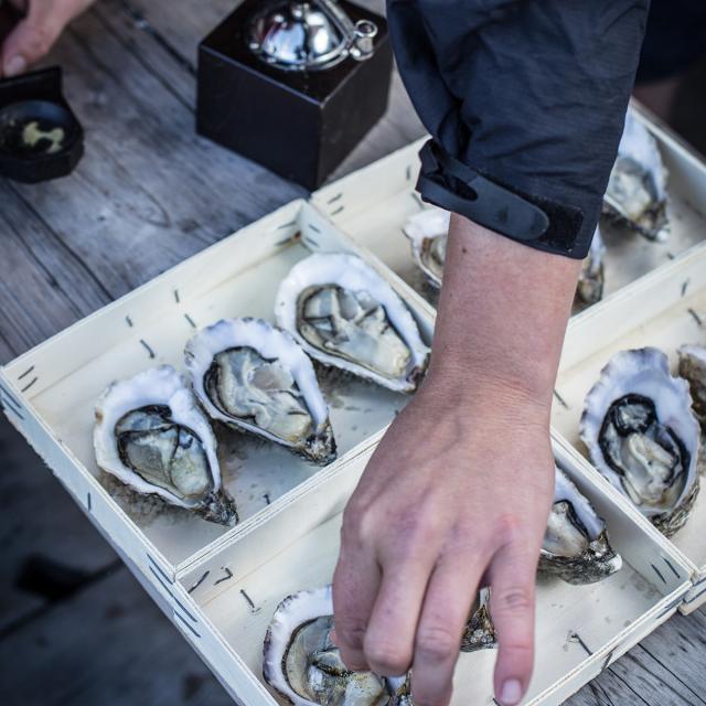 Huîtres de Cancale