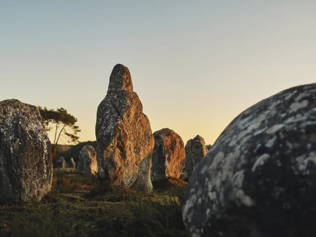 A. Lamoureux Menhirs De Carnac