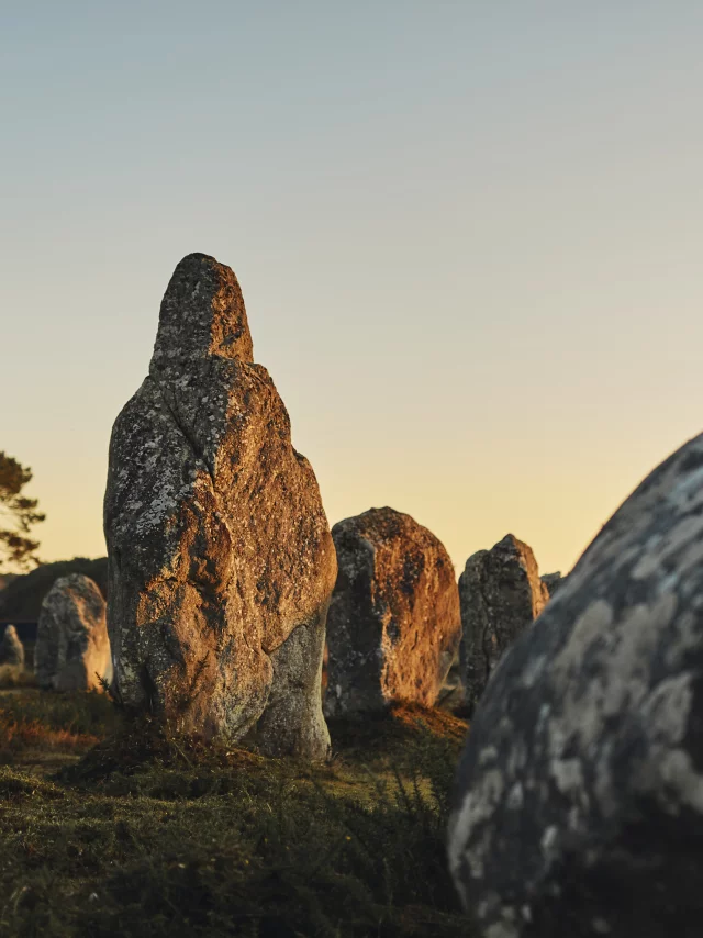 A. Lamoureux Menhirs De Carnac