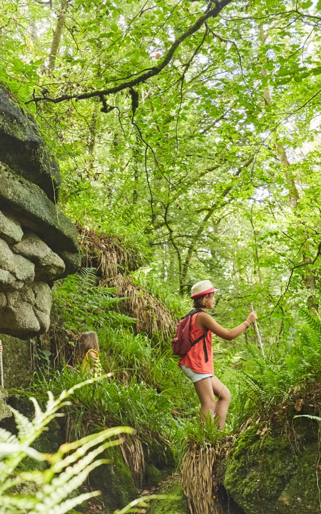 Alamoureuxroimorvan17 Mg 9035