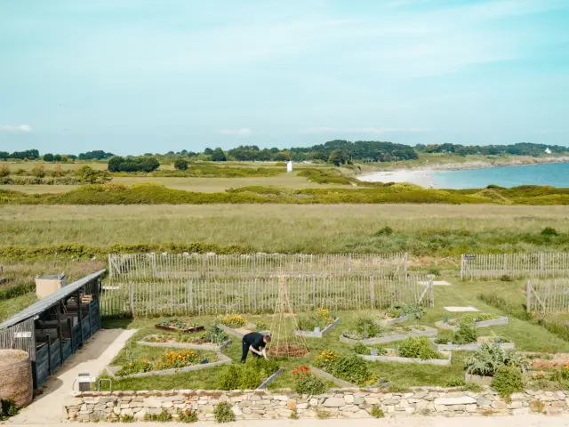 Névez - Restaurant Ar Men Du - Verger - Jardin potager - Chef