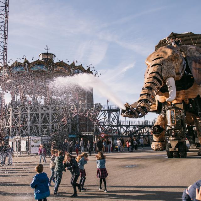 Le Grand Elephant Les Machines De Lile Nantes D. Gallard 1