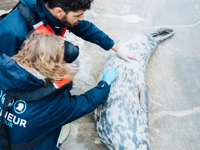 Oceanopolis - Expérience Soigneur d'un Jour - Brest