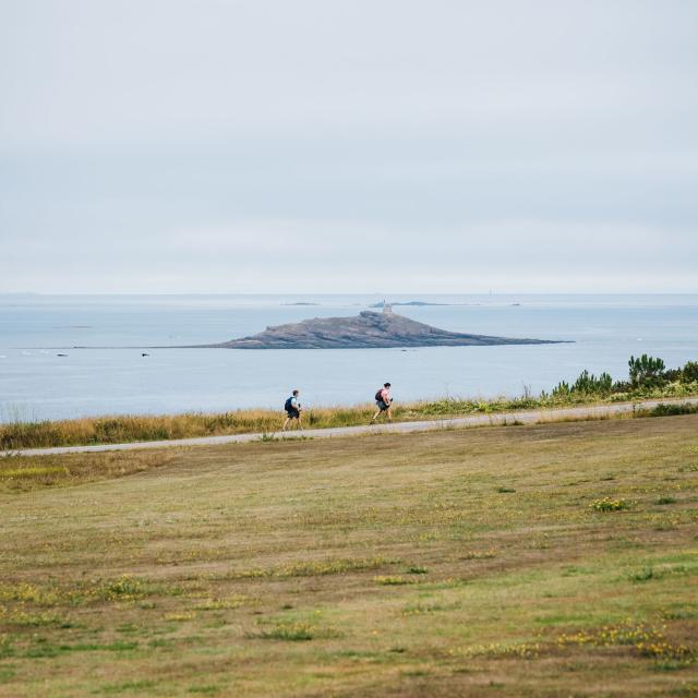 Cap Fréhel