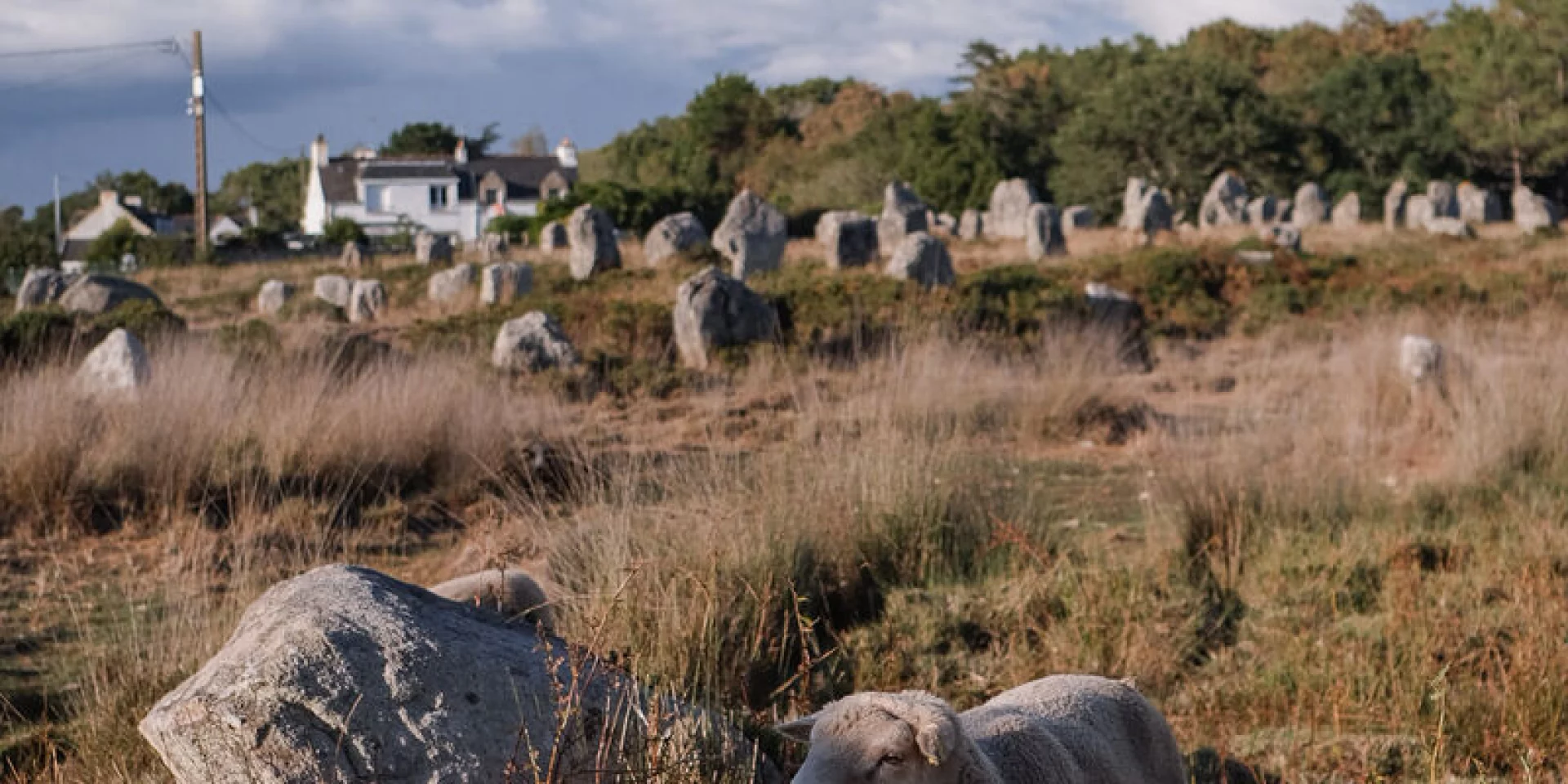 Carnac Menhirs Morgane Schaller 1