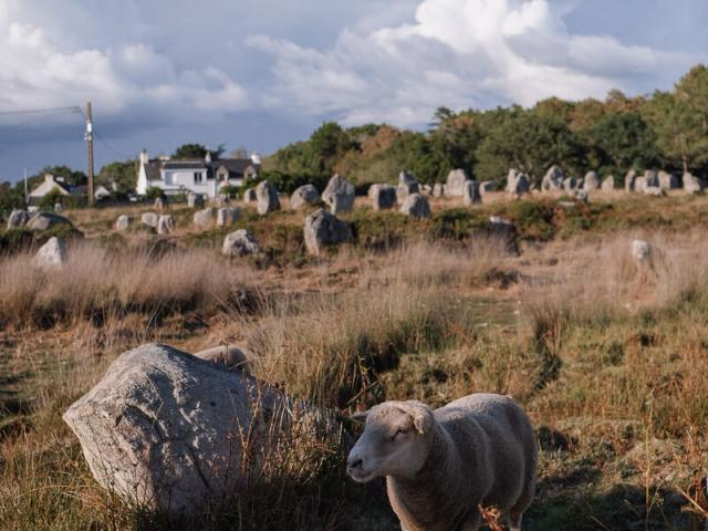 Carnac Menhirs Morgane Schaller 1