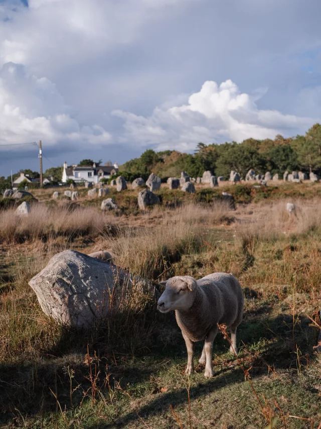 Carnac Menhirs Morgane Schaller 1