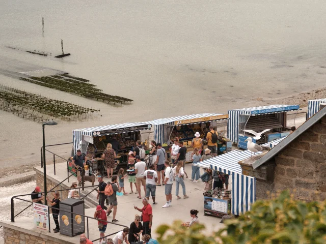 Cancale - Marché aux huîtres - Mouette
