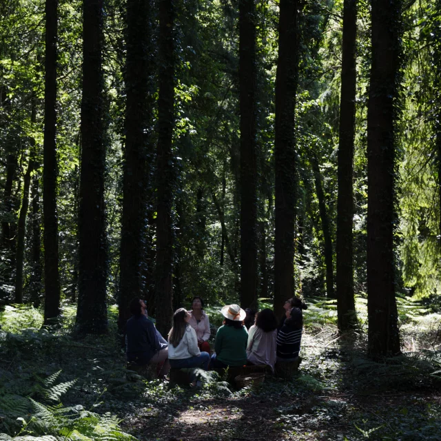 Persquen - Expérience Bretonne Forêt Totem
