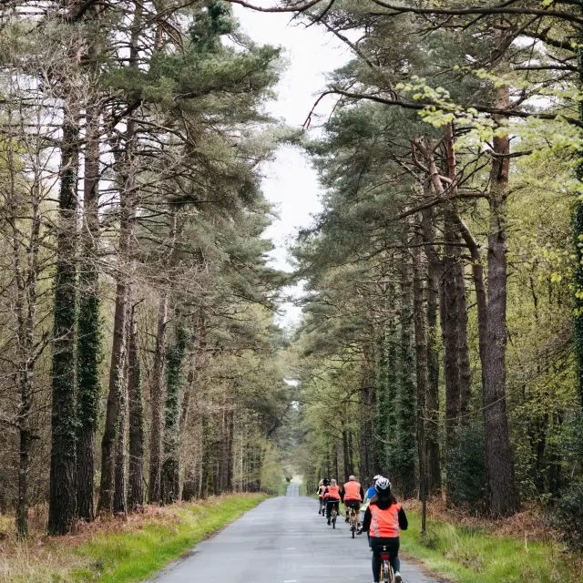 Paimpont - Experience Bretonne - Broceliande Bike tour - Randonnee