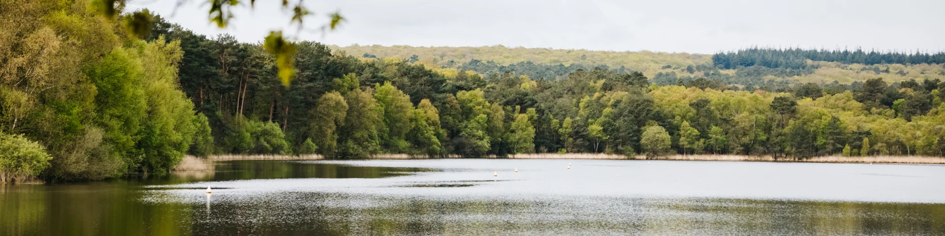Paimpont - Experience Bretonne - Broceliande Bike tour