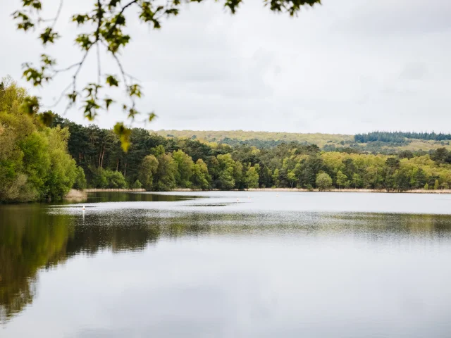 Paimpont - Experience Bretonne - Broceliande Bike tour