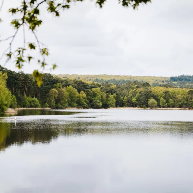 Paimpont - Experience Bretonne - Broceliande Bike tour